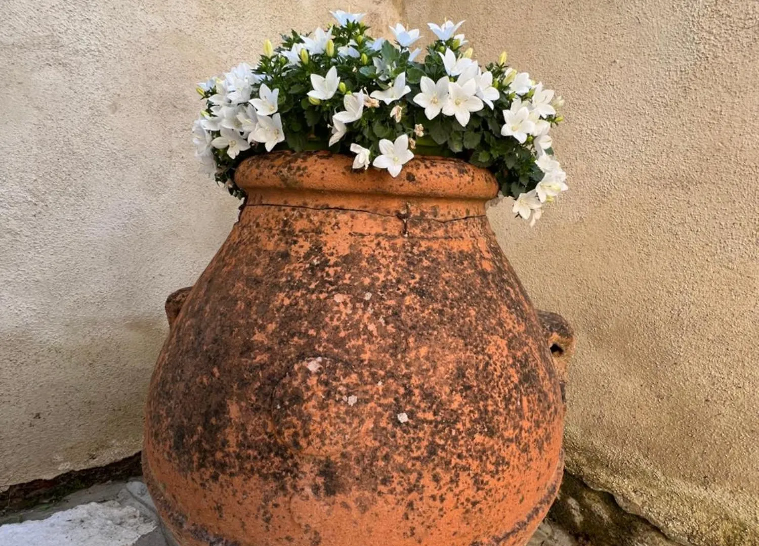 Molino Di Cogno Apartment Castellina in Chianti