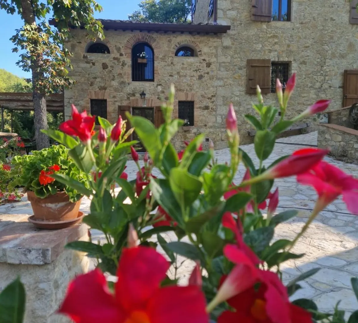 Molino Di Cogno Apartment Castellina in Chianti Italy