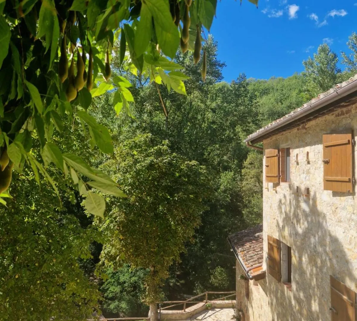 Molino Di Cogno Apartment Castellina in Chianti
