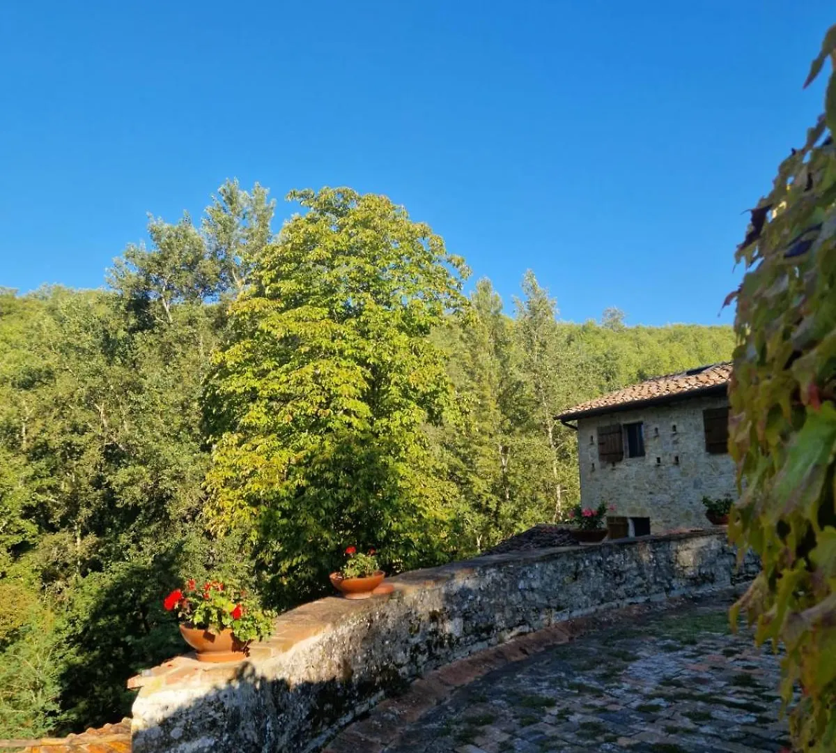 Molino Di Cogno Apartment Castellina in Chianti