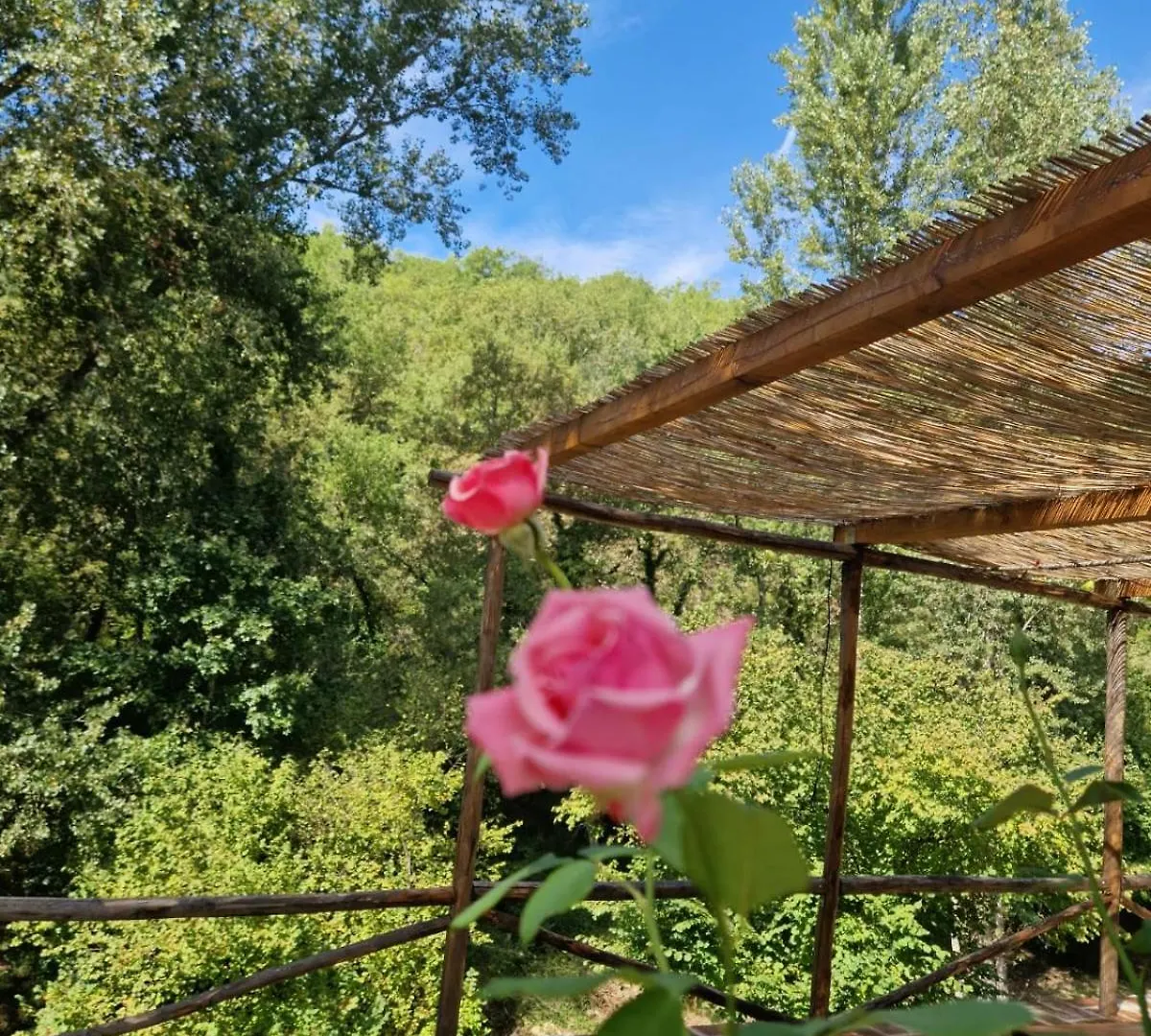 Molino Di Cogno Apartment Castellina in Chianti Italy