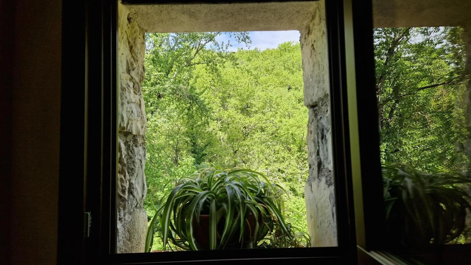 Molino Di Cogno Lejlighed Castellina in Chianti Italien