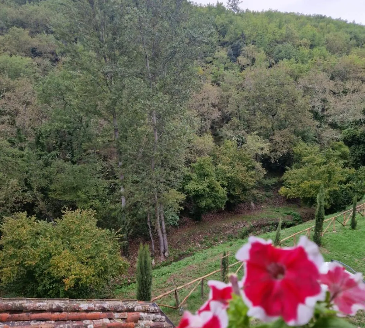 Molino Di Cogno Lejlighed Castellina in Chianti