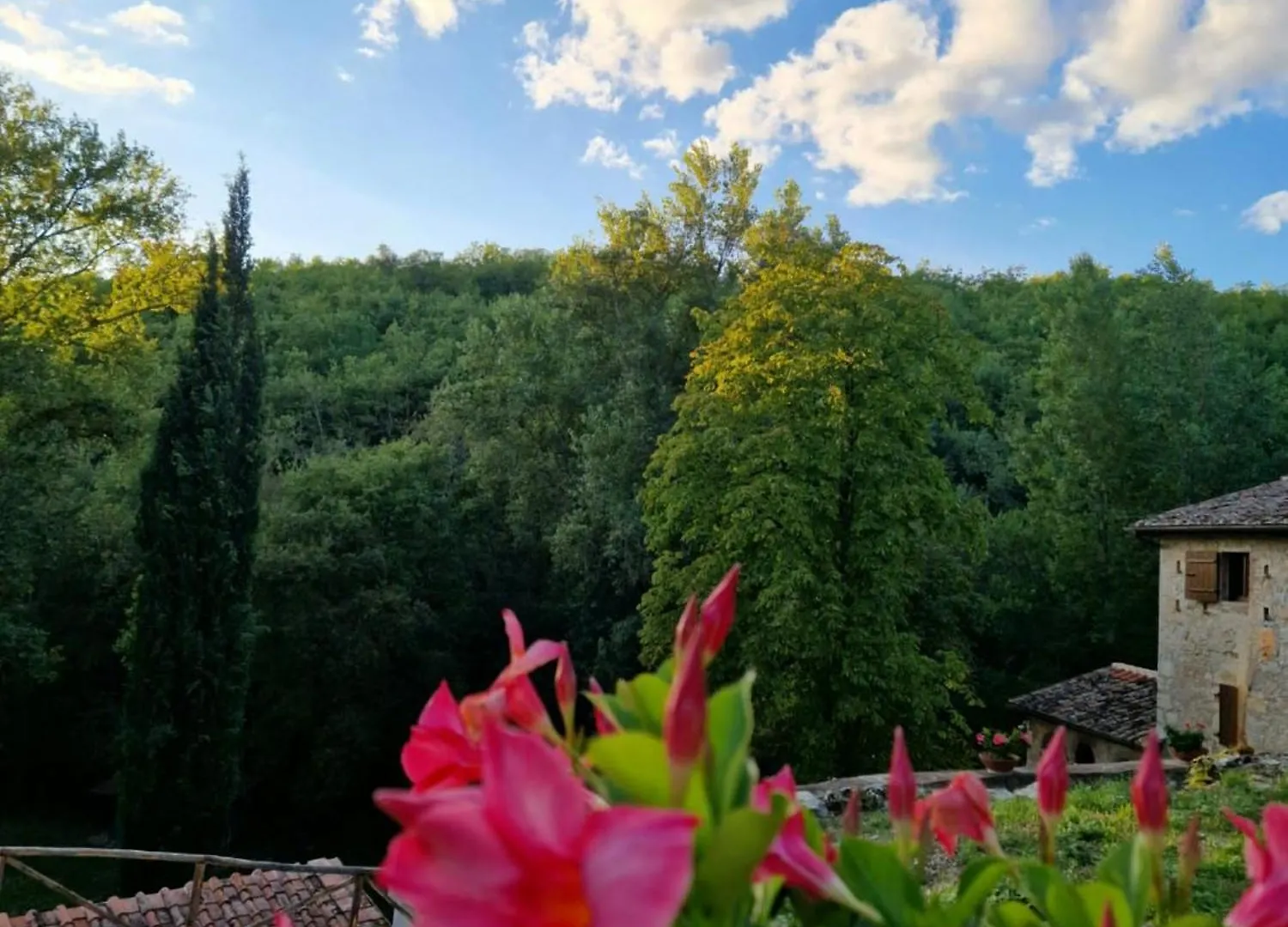 Molino Di Cogno Lejlighed Castellina in Chianti 0*,  Italien