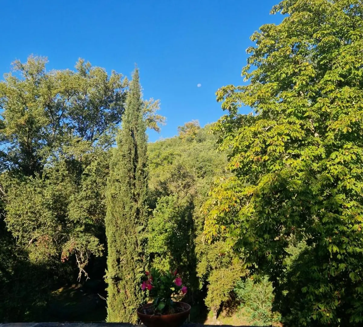 Molino Di Cogno Lejlighed Castellina in Chianti