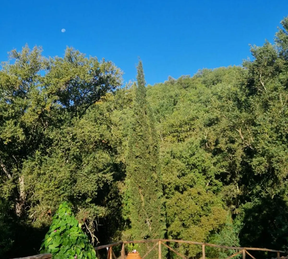 Molino Di Cogno Lejlighed Castellina in Chianti
