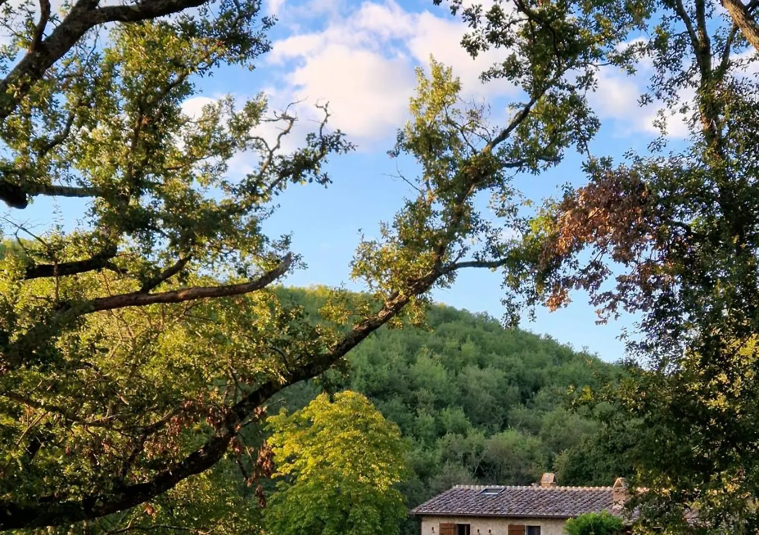 Molino Di Cogno Lejlighed Castellina in Chianti